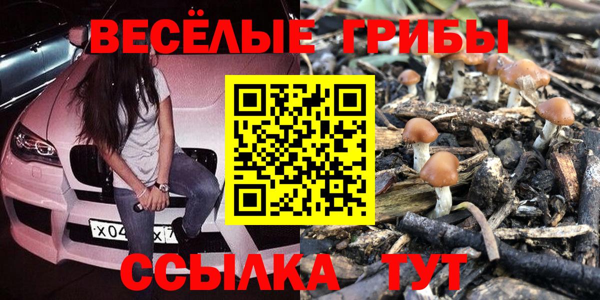 Псилоцибиновые грибы мицелий  Вход с VPN  Кудрово 